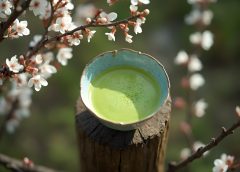 Matcha și starea de bine legătura dintre corp și minte