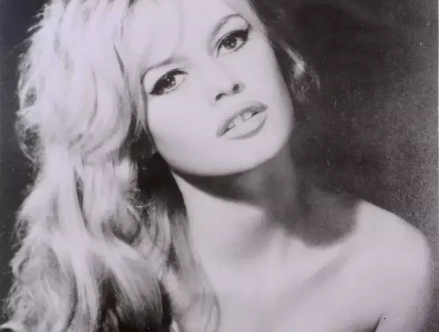 Relația tensionată dintre Brigitte Bardot și fiul ei. Cine a fost Nicolas-Jacques Charrier