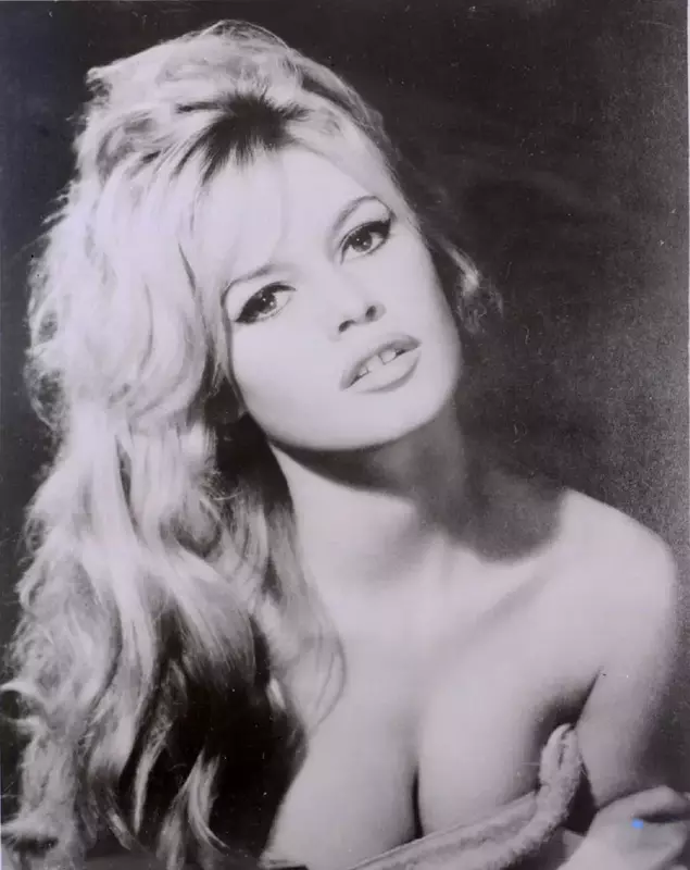 Relația tensionată dintre Brigitte Bardot și fiul ei. Cine a fost Nicolas-Jacques Charrier