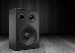 Boxe pasive pentru DJ și sonorizări live